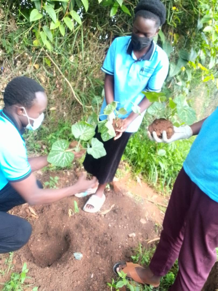 Pumpkins growing and busket weaving projects under the MANESTREAM CHARITY HARVEST GUARD FOUNDATION